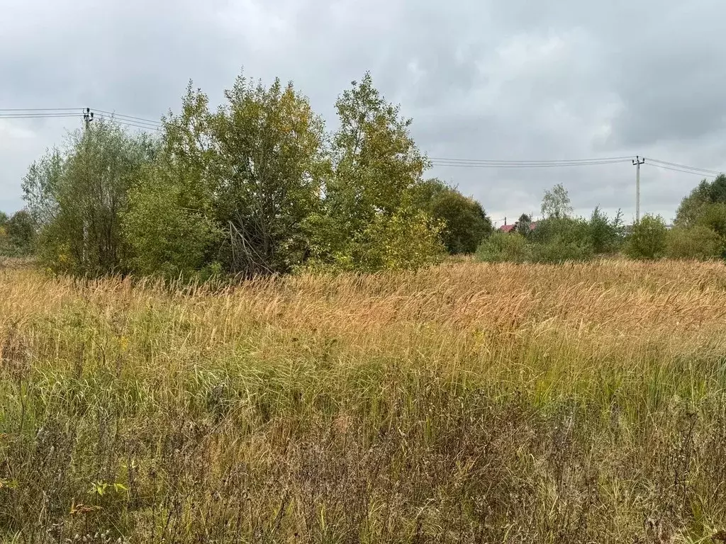 Участок в Московская область, Богородский городской округ, д. Новое ... - Фото 2