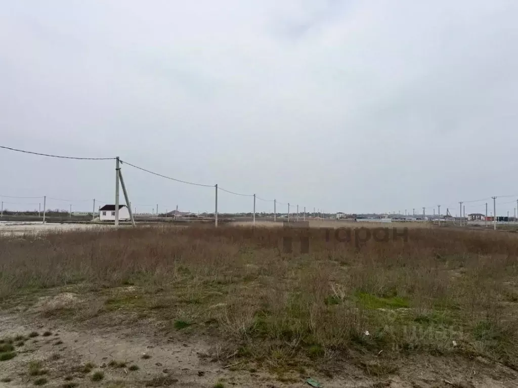 Участок в Краснодарский край, Темрюкский район, Голубицкое с/пос, ... - Фото 2