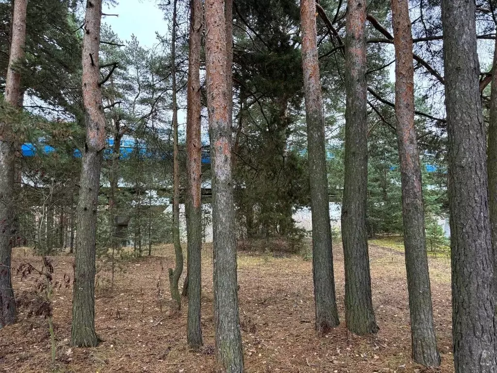 Участок в Московская область, Дубна Спортивная ул., 46 (20.53 сот.) - Фото 1