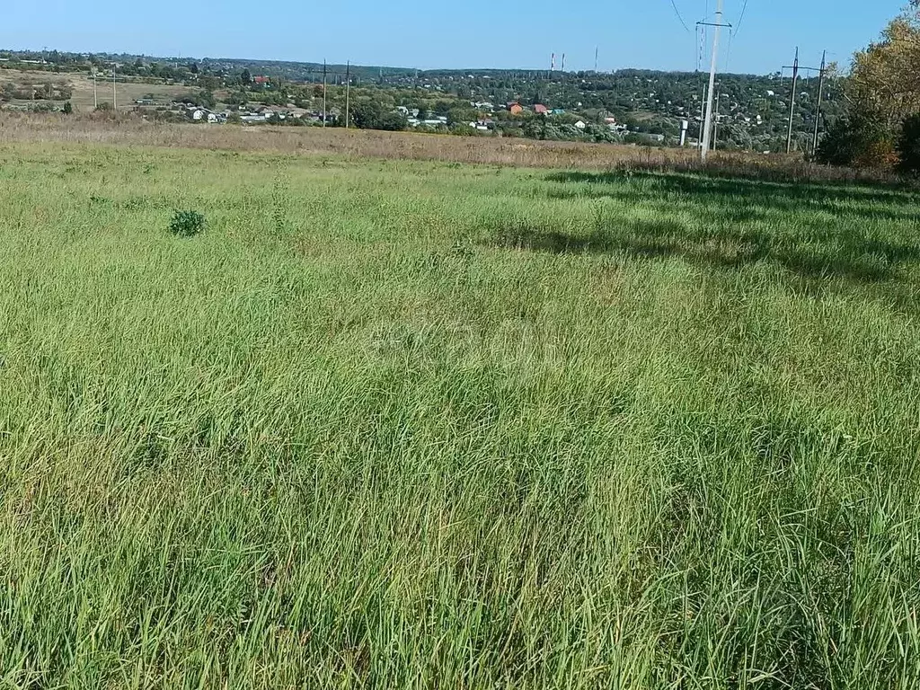 Участок в Курская область, Курский район, Моковский сельсовет, д. ... - Фото 2