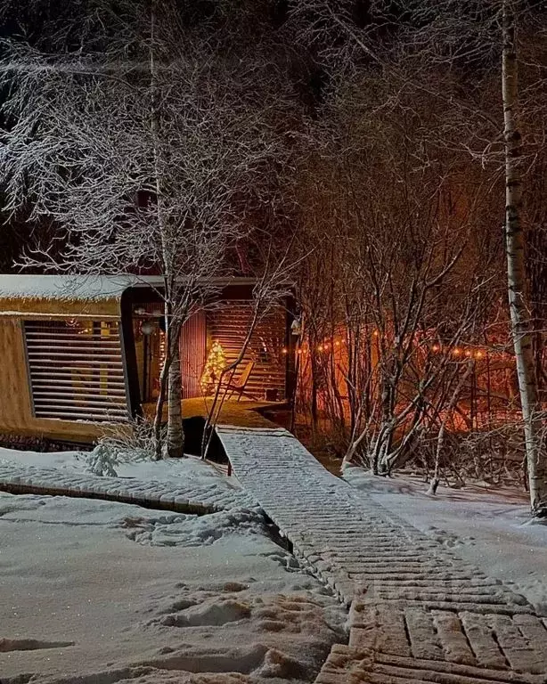 Дом в Ленинградская область, Гатчинский муниципальный округ, Дачная ... - Фото 1