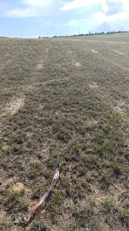 Участок в Волгоградская область, Городищенский район, Орловское с/пос, ... - Фото 2