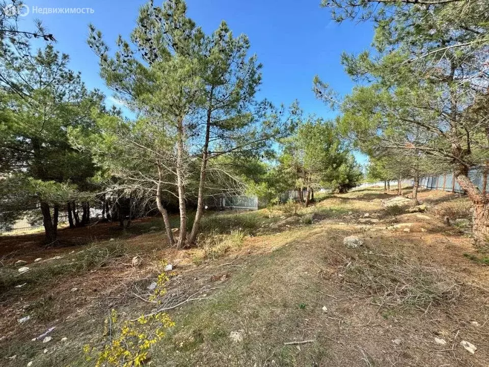 Участок в Севастополь, Гагаринский муниципальный округ (20 м) - Фото 2