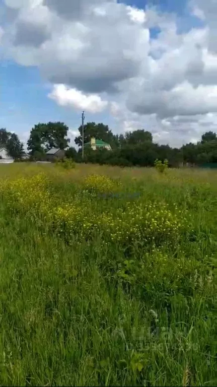 Участок в Нижегородская область, Нижний Новгород городской округ, с. ... - Фото 2