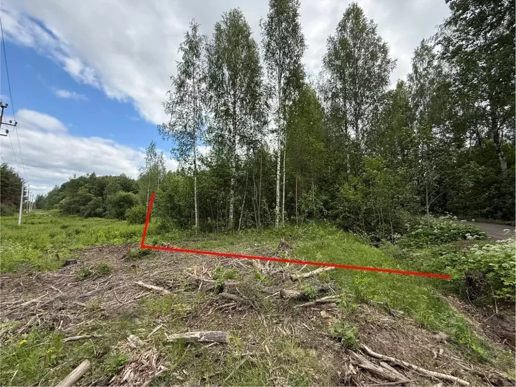 Участок в Ленинградская область, Выборгский район, Красносельское ... - Фото 2