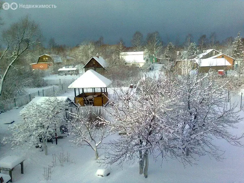 Дом в Петергоф, улица Дзержинского, 7 (63 м) - Фото 0