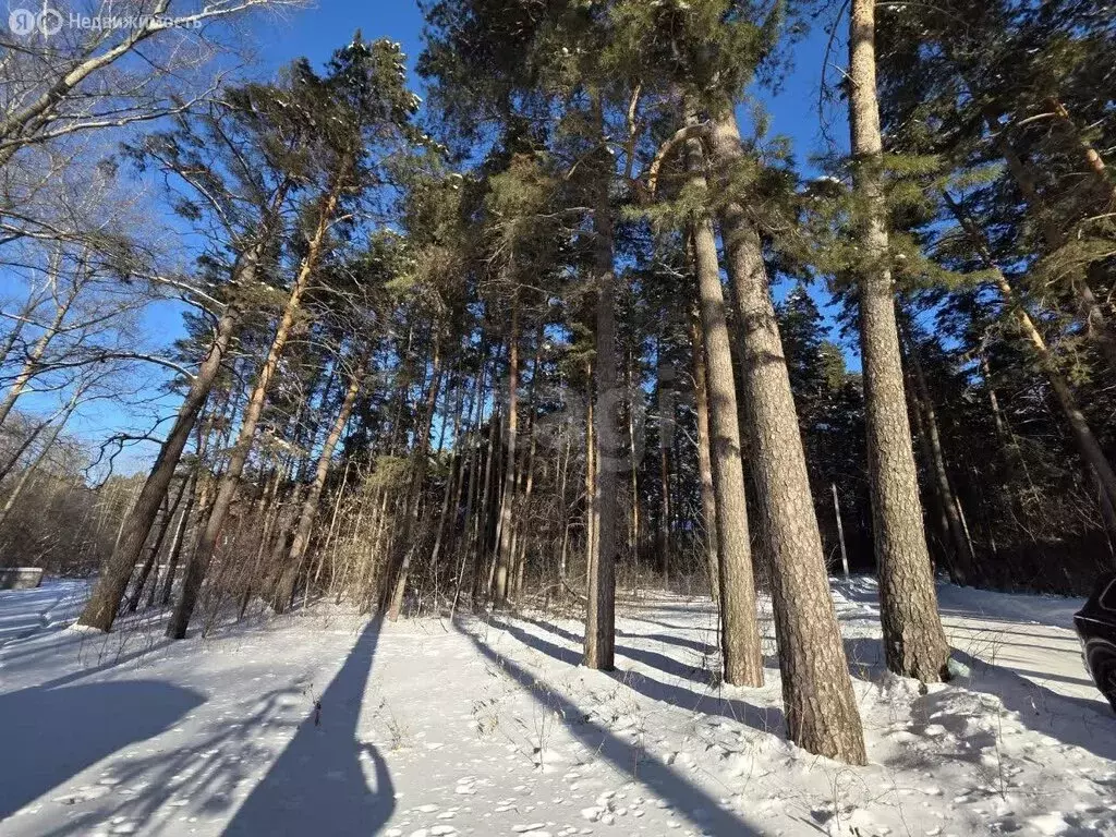 Участок в Бердск, Речкуновская зона отдыха (63 м) - Фото 2