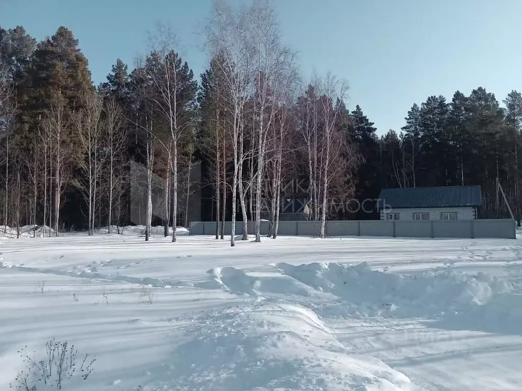 Участок в Тюменская область, Нижнетавдинский район, с. Тюнево ул. ... - Фото 0
