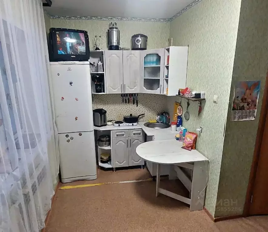 Студия Новосибирская область, Искитимский район, Совхозный сельсовет, ... - Фото 1