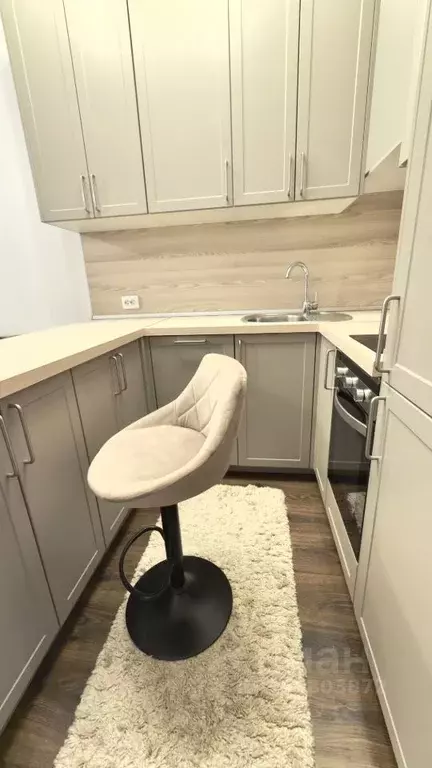 Студия Санкт-Петербург 26-я Васильевского острова линия, 7 (24.2 м) - Фото 2