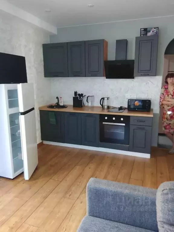 Студия Краснодарский край, Сочи ул. Яна Фабрициуса, 23лит1 (25.0 м) - Фото 2