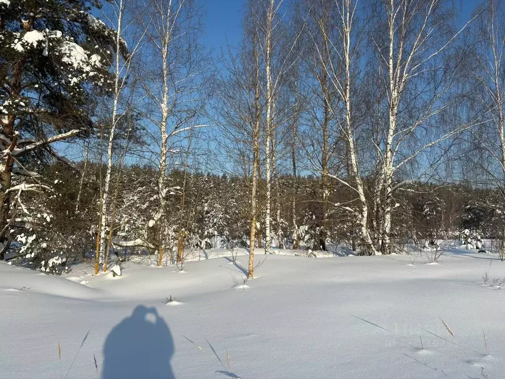Участок в Московская область, Воскресенск городской округ, д. ... - Фото 1