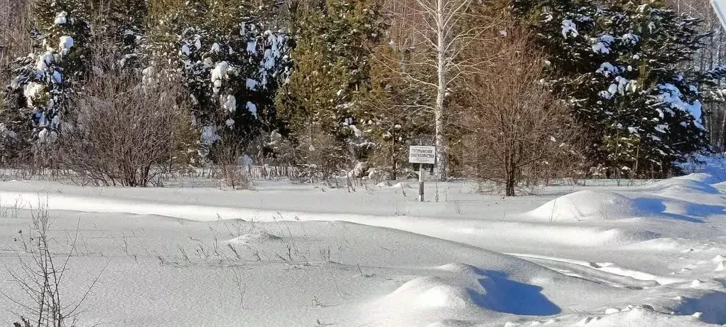 Участок в Свердловская область, Тугулымский муниципальный округ, пос. ... - Фото 1