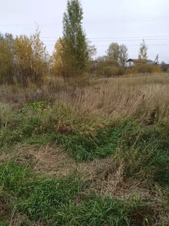 Участок в Новгородская область, Боровичский район, Прогресское с/пос, ... - Фото 0