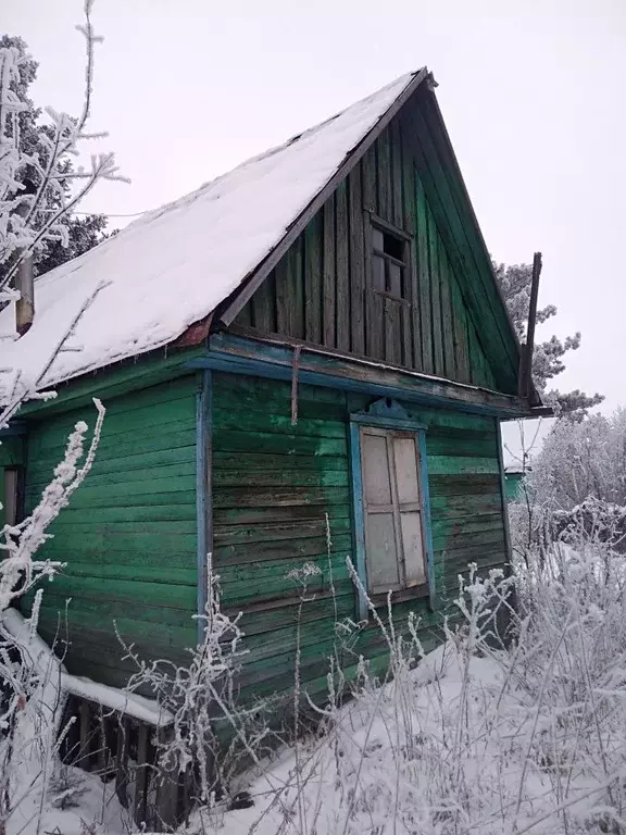 Дом в Омская область, Омск Заветы Мичурина СНТ,  (30 м) - Фото 1