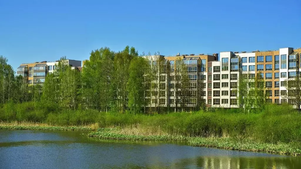 3-к кв. Санкт-Петербург ш. Суздальское, 8 (88.12 м) - Фото 1
