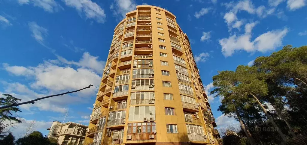 3-к кв. Краснодарский край, Сочи ул. Ленина, 219/35 (100.0 м) - Фото 1