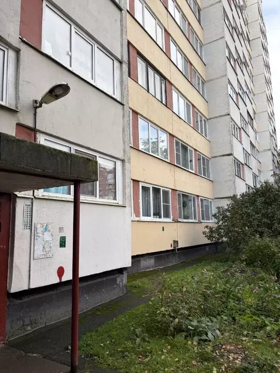 1-к кв. Санкт-Петербург просп. Испытателей, 15К1 (29.0 м) - Фото 1
