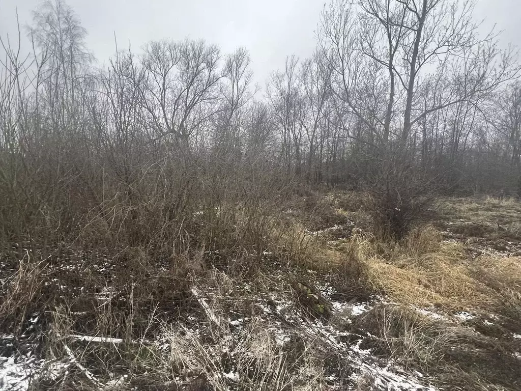 Участок в Московская область, Клин городской округ, д. Имени Дмитриева ... - Фото 1