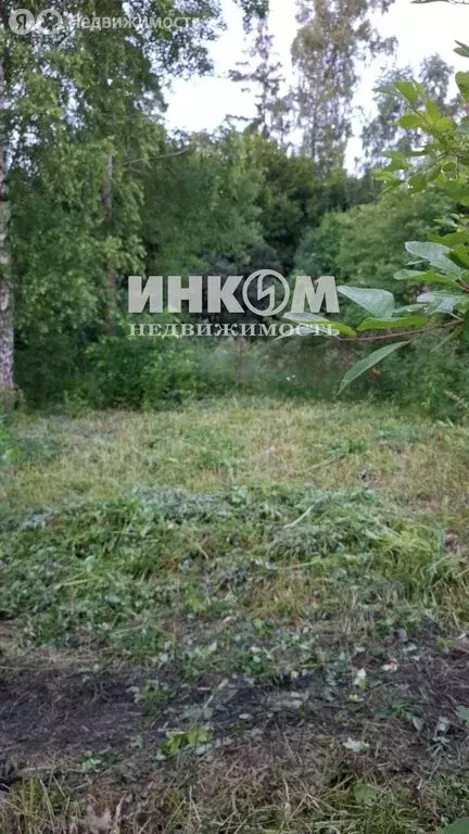 Участок в Одинцовский городской округ, садовое товарищество ... - Фото 2