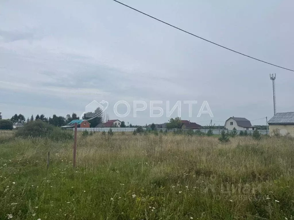 Участок в Тюменская область, Тюменский район, Нива СНТ ул. Урожайная, ... - Фото 1