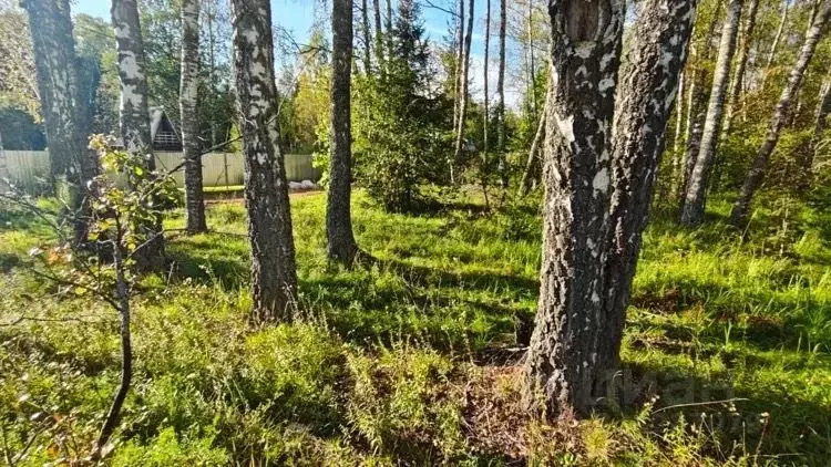 Участок в Московская область, Рузский муниципальный округ, Папино тер. ... - Фото 1