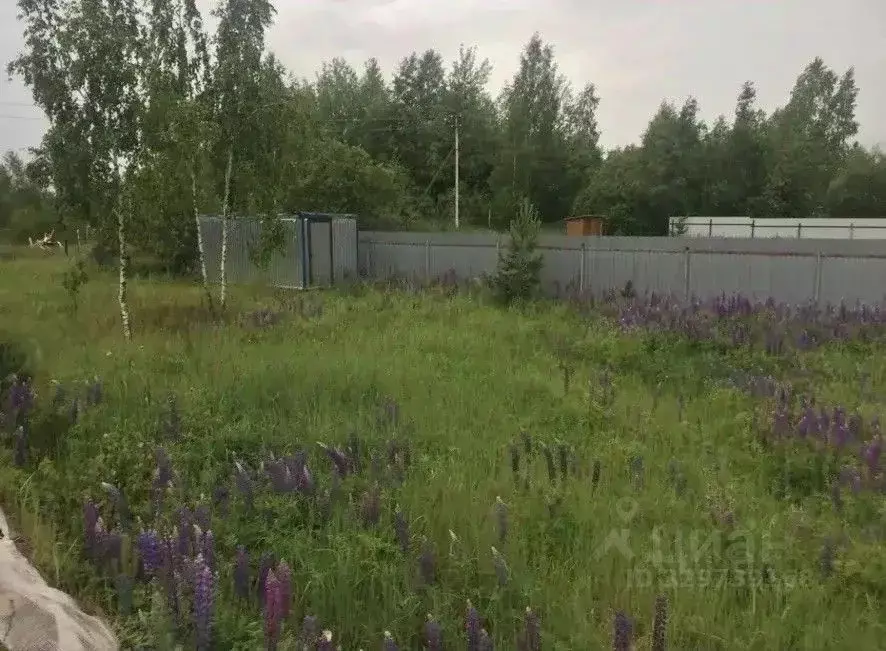 Участок в Московская область, Одинцовский городской округ, Людмила СНТ ... - Фото 1