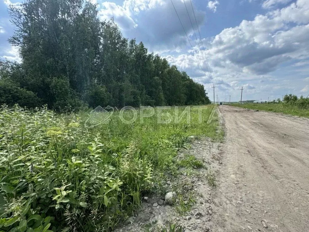 Участок в Тюменская область, Тюменский район, с. Горьковка  (6.0 сот.) - Фото 0