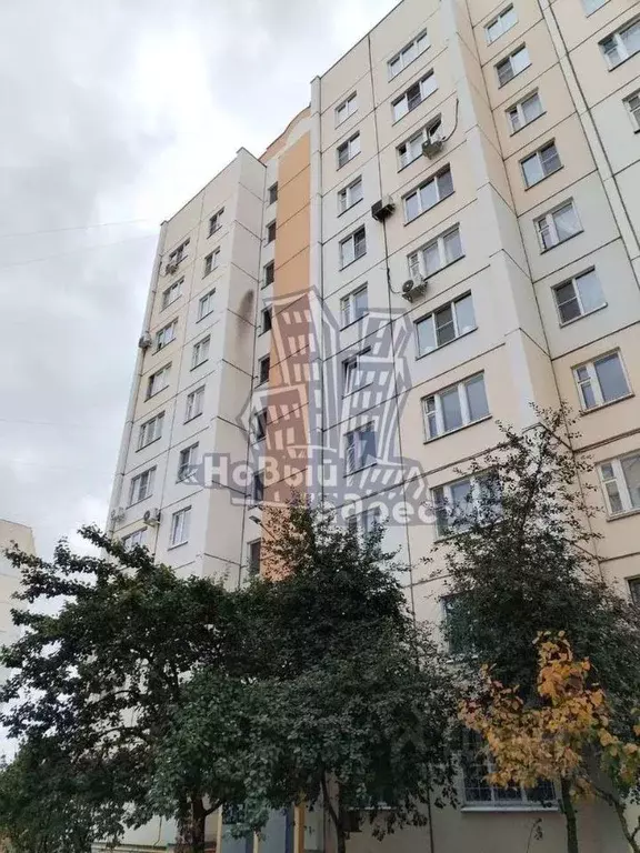 2-к кв. Воронежская область, Воронеж ул. 9 Января, 233/18 (55.0 м) - Фото 0