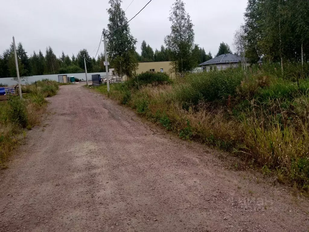 Участок в Ленинградская область, Всеволожск ул. Валаамская (7.3 сот.) - Фото 1