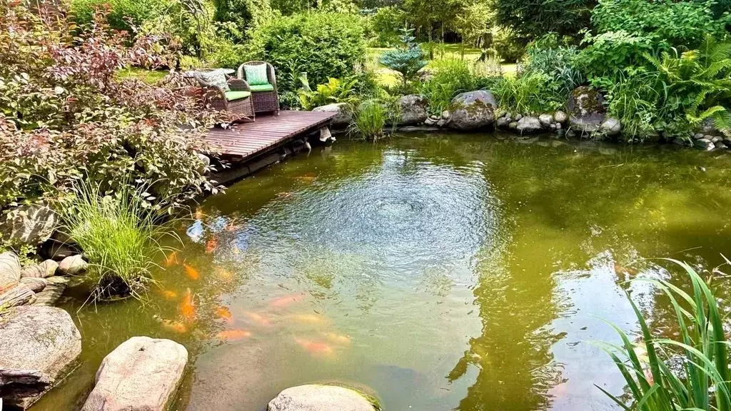 Участок в Ленинградская область, Выборгский район, Первомайское с/пос, ... - Фото 1