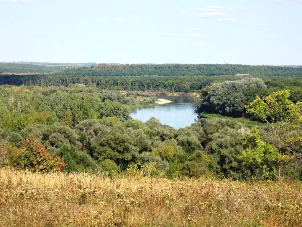 Участок в Воронежская область, Подгоренский район, Белогорьевское ... - Фото 1