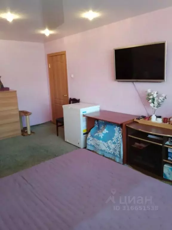 3-к кв. Камчатский край, Елизово ул. 40 лет Октября, 1 (59.6 м) - Фото 2