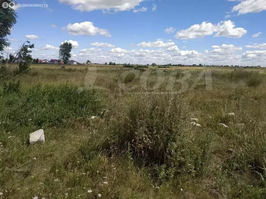 Участок в Курган (4 м) - Фото 0