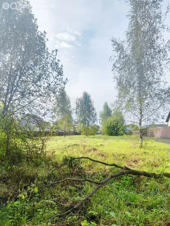 Участок в Москва, ТАО, район Вороново, село Свитино (9.85 м) - Фото 1