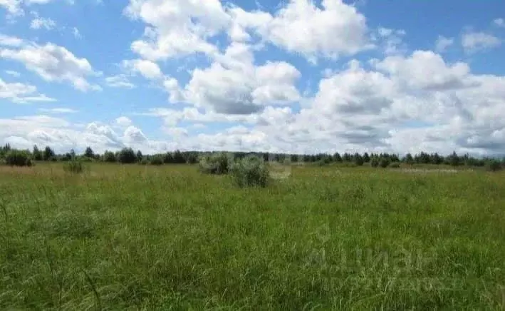 Участок в Липецкая область, Липецкий муниципальный округ, с. Троицкое ... - Фото 1