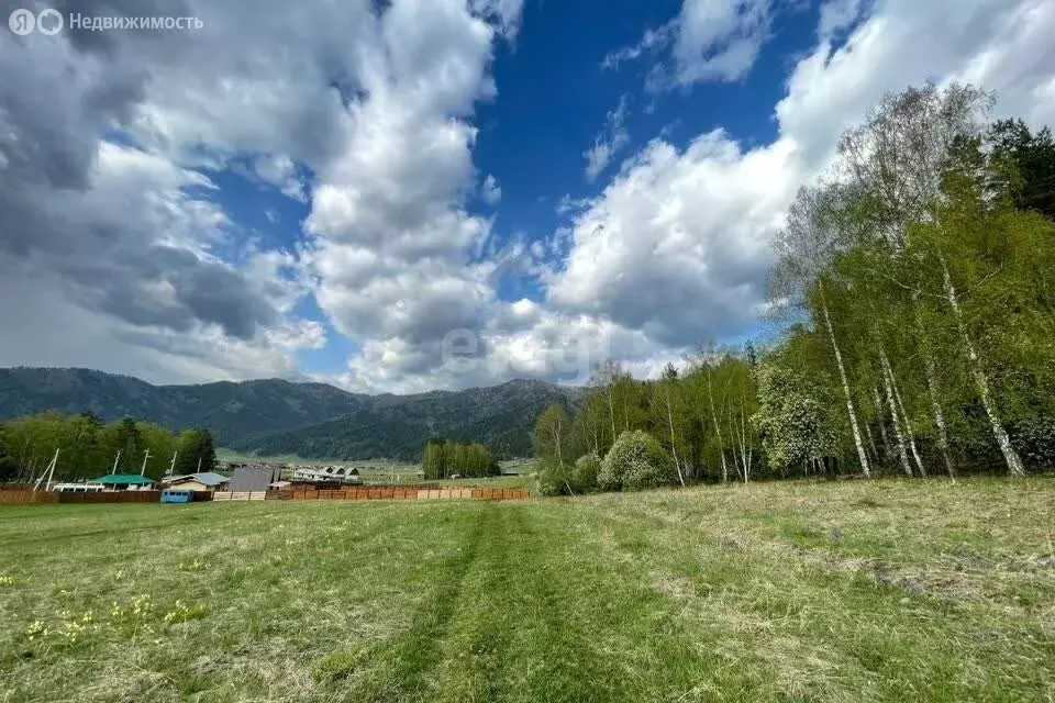 Участок в Чемальский район, ДНП Урочище Киндерли (20.4 м) - Фото 0