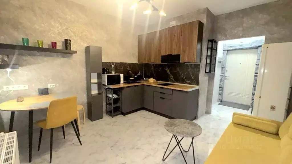 Студия Санкт-Петербург ул. Среднерогатская, 13к1 (21.0 м) - Фото 2