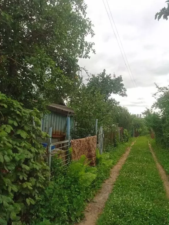 Дом в Нижегородская область, Нижний Новгород Маяк садовое ... - Фото 1