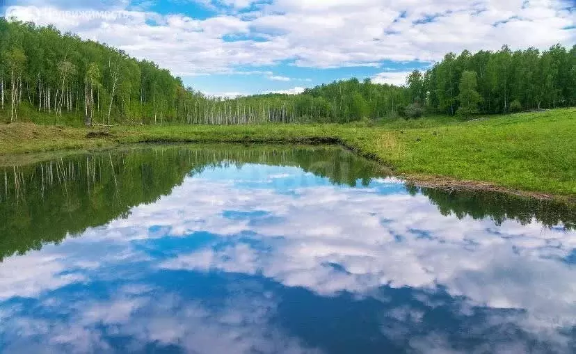 Участок в Станционный сельсовет, коттеджный посёлок Клевер, улица ... - Фото 1