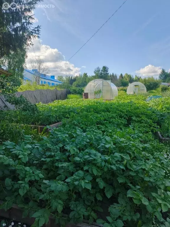 2-комнатная квартира: Царева, 7 (48 м) - Фото 0