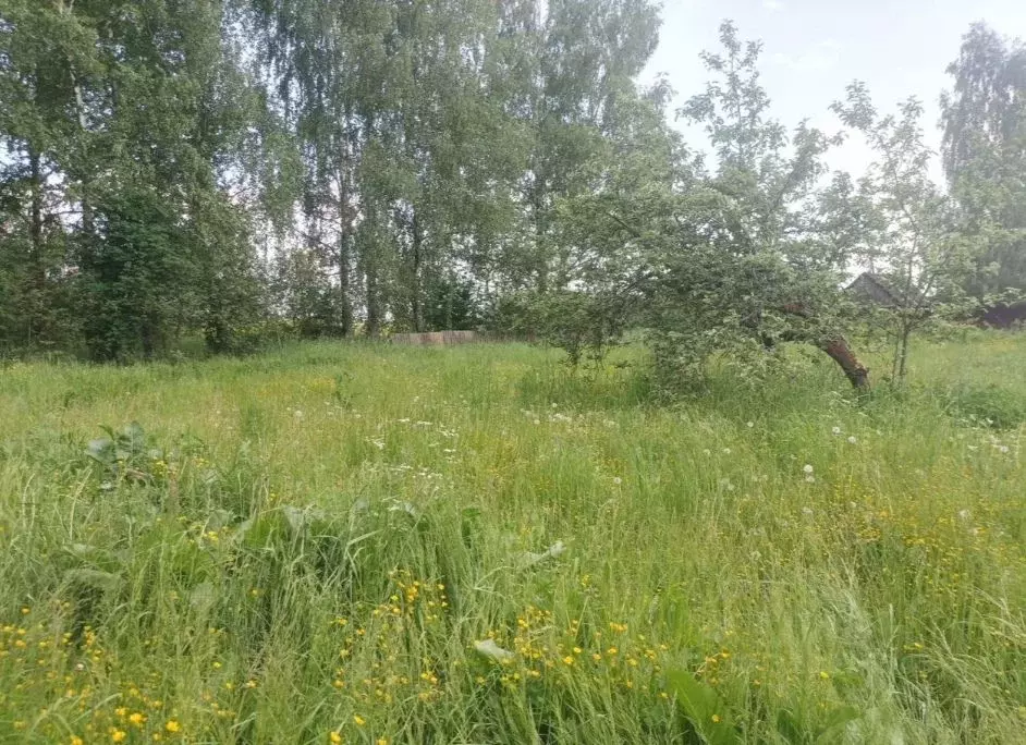 Дом в Смоленская область, Монастырщинский муниципальный округ, д. ... - Фото 2