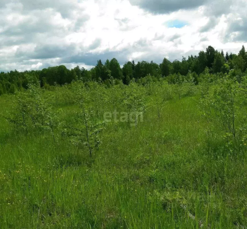 Участок в Красноярский край, Манский район, Шалинский сельсовет, д. ... - Фото 1