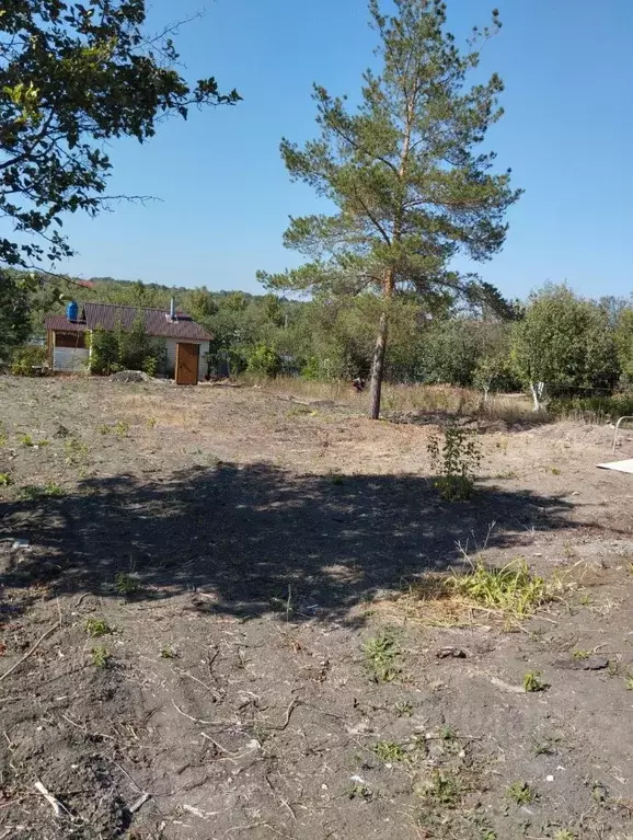 Участок в Саратовская область, Саратов Золотое Яблочко СНТ,  (8.0 ... - Фото 1