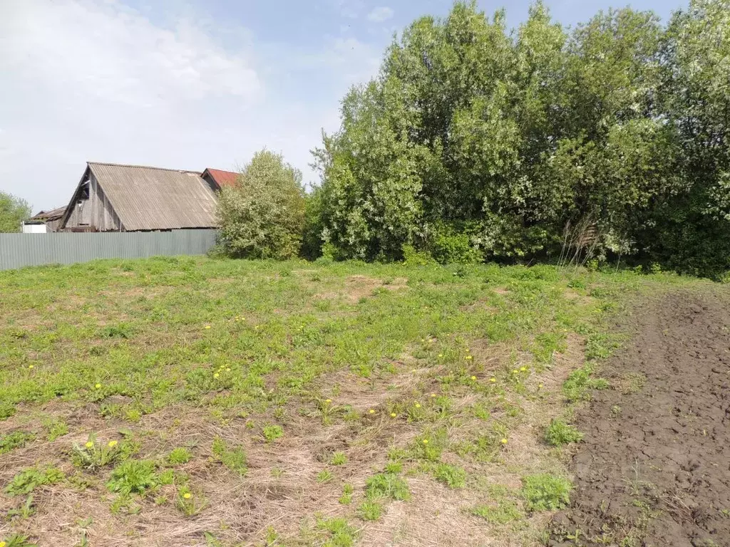Участок в Нижегородская область, Арзамас городской округ, с. Большое ... - Фото 2