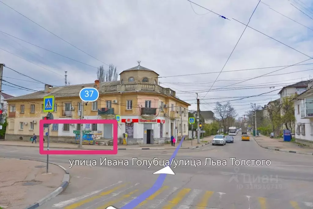 Помещение свободного назначения в Севастополь ул. Льва Толстого, 37 ... - Фото 0