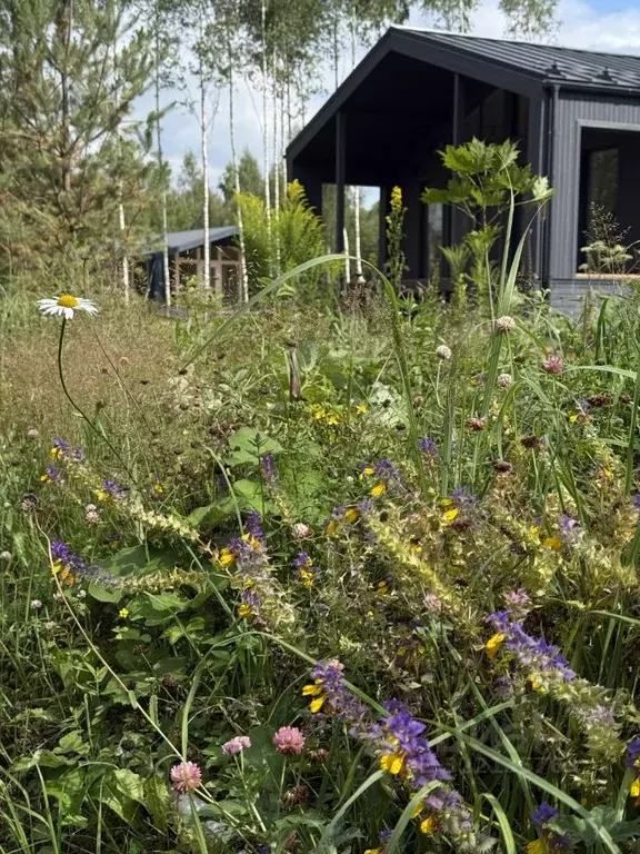 Дом в Тульская область, Заокский район, Страховское с/пос, д. ... - Фото 2