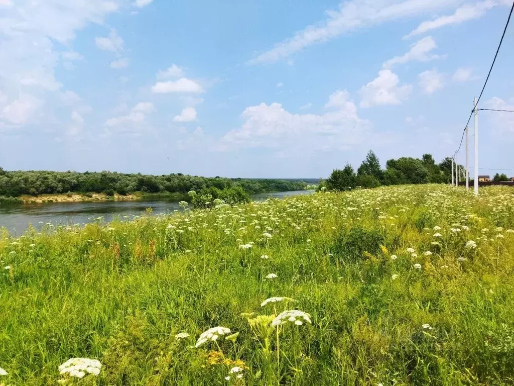 Участок в Тульская область, Ясногорский район, Иваньковское с/пос, д. ... - Фото 2