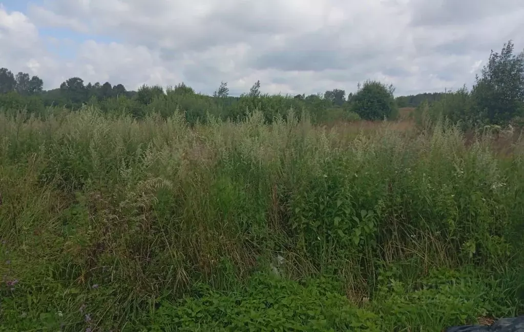 Участок в Московская область, Можайский муниципальный округ, Дома ... - Фото 2