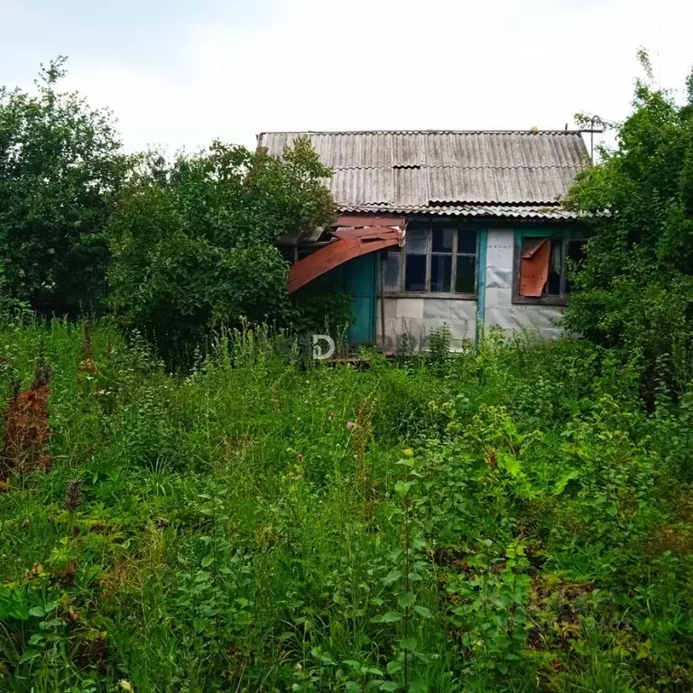Участок в Саратовская область, Татищевский район, Ягодно-Полянское ... - Фото 2